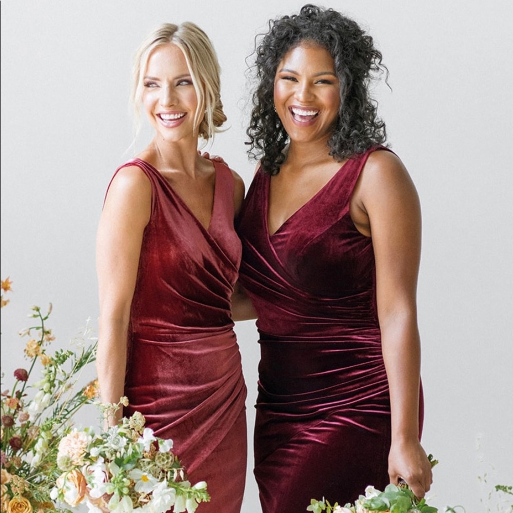 NEW Revelry Dawson Velvet Dress in Blush Size 10